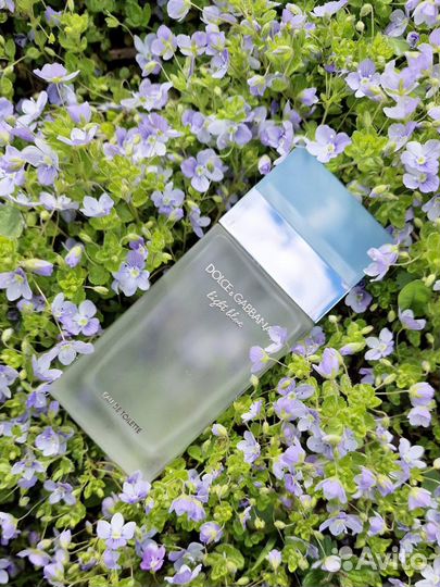 Духи женские Light Blue Dolce&Gabbana 100ml
