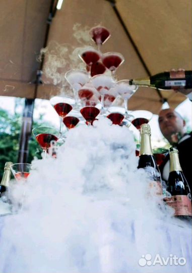 Выездной бармен