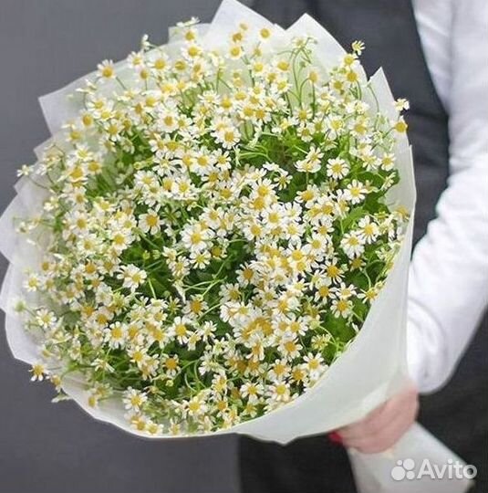 Доставка цветов. Ромашки