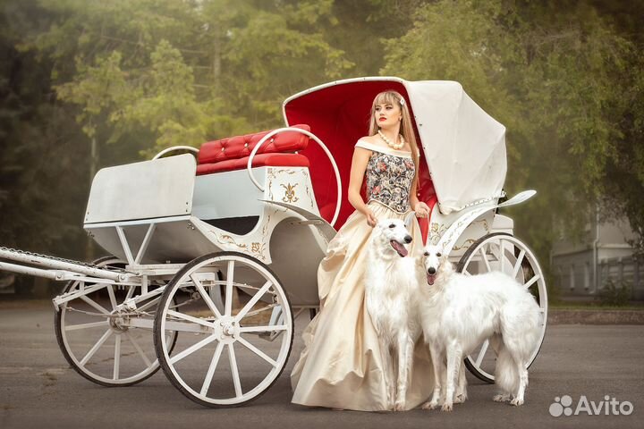 Фаэтон для лошади, карета