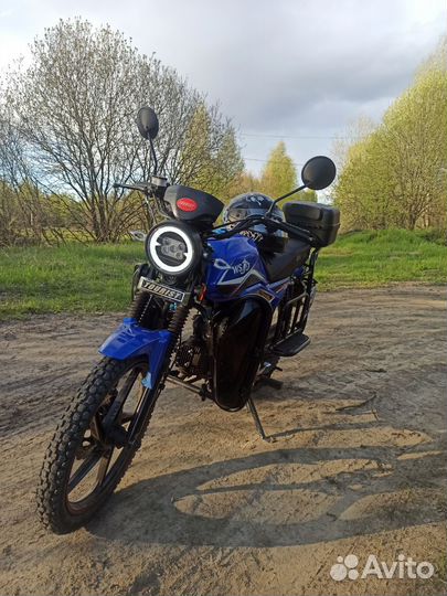 Альфа турист