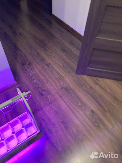 Набор для выращивания микрозелени и рассады