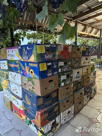 Банановые коробки бу