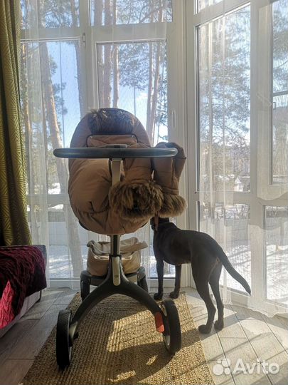 Коляска Stokke xplory