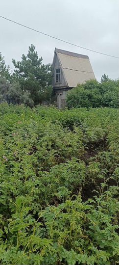 Участок 5 га (СНТ, ДНП)