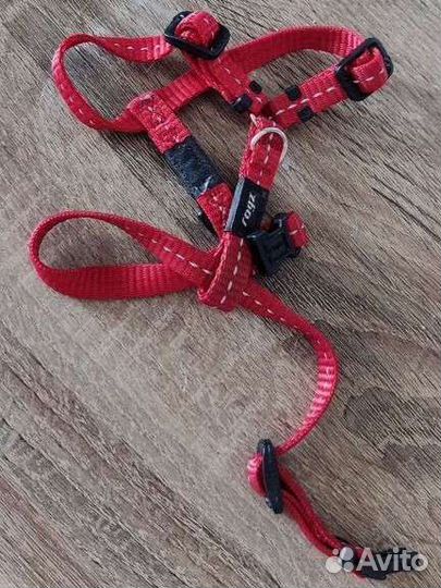 Шлейка для маленькой собаки Rogz