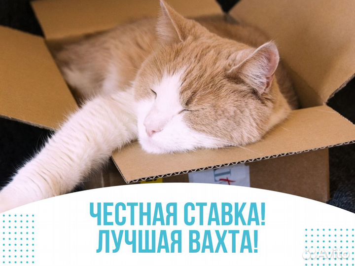 Вахта с проживанием