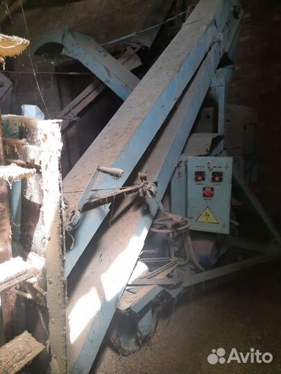 Зернометы, пектуса