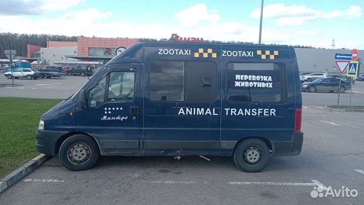 Доставка животных по РФ