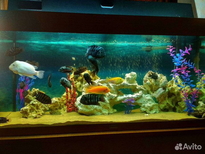 Продам аквариум