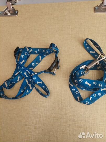 Шлейка для маленькой собаки