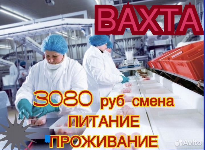 Упаковщик/ца Вахта в г.Ростов от 20 смен с жильем