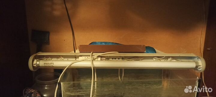 Аквариум большой