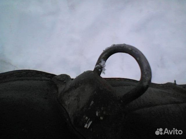 Сиделка для лошади