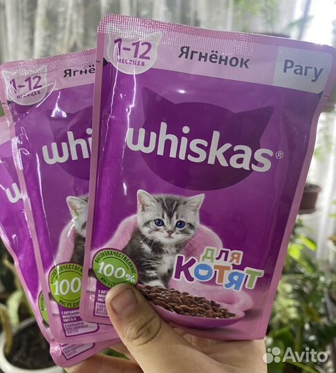 Корм для кошек