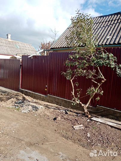 Заборы, монтаж ограждений