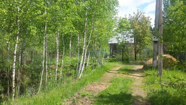 Участок 6,5 сот. (СНТ, ДНП)