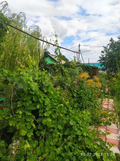 Дом 25 м² на участке 6 сот.