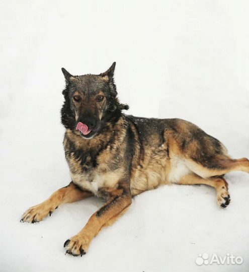 Пожалуйста, не пролистывай меня