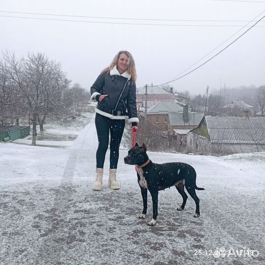 Собака в добрые руки щенок