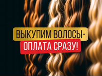 Скупка волос сдать продать волосы Ярославль