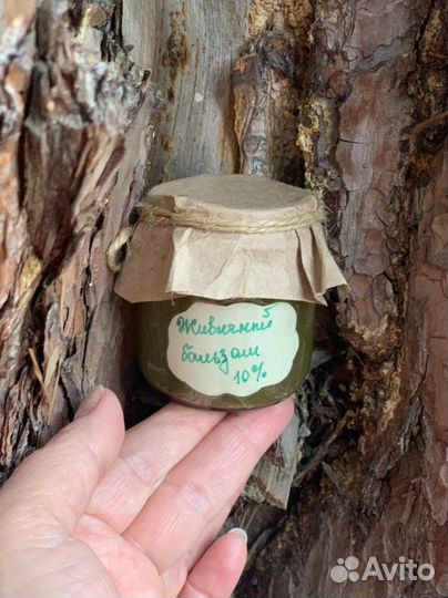 Живица сосновая