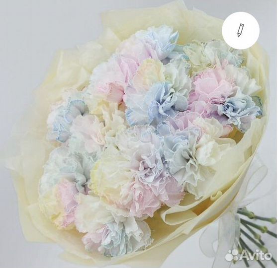 Акварельные диантусы