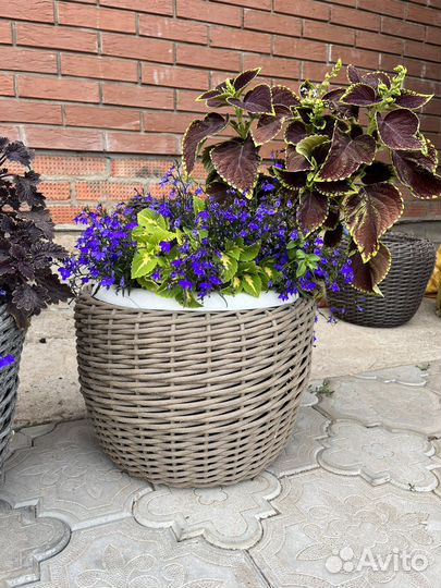 Корзина кашпо из ротанга
