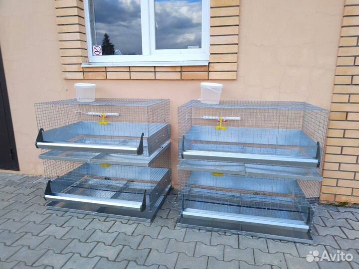 Клетка для 20 бройлеров