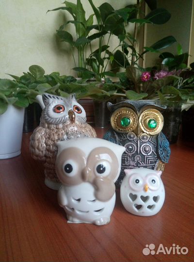 Совы: мини-коллекция фигурок