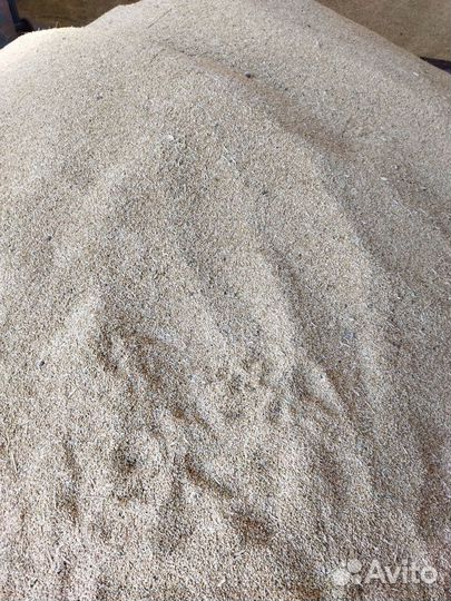 Продам Пшеницу, Ячмень