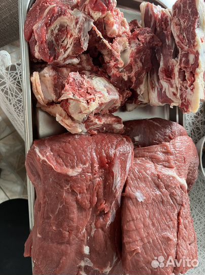 Мясо молодняка крс