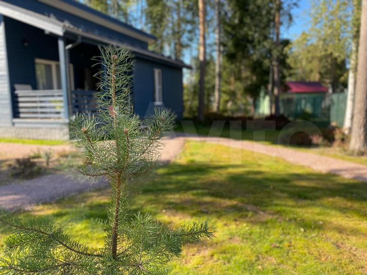 Дом 70 м² на участке 8 сот.