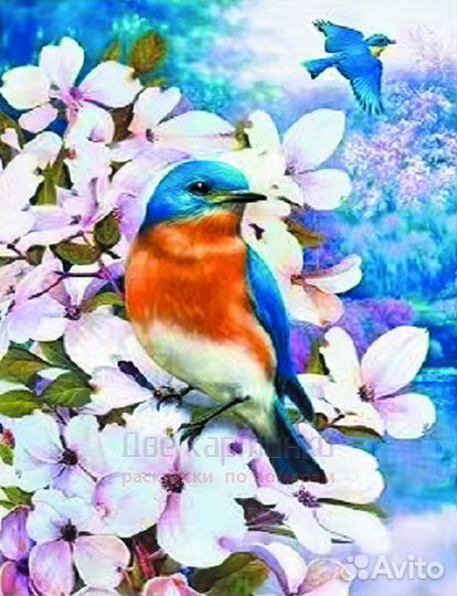Алмазная мозаика 40x50 Голубые птицы на цветущих