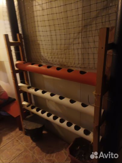 Рассадника для огурцов и помидор