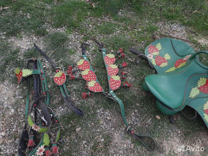 Амуниция на пони