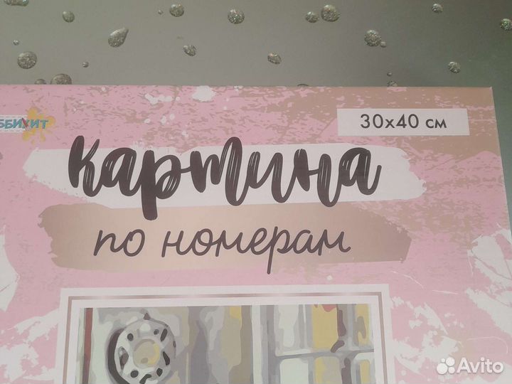 Раскраска по номерам 3040 Девочка с персиками