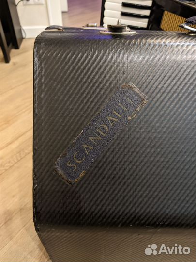Аккордеон scandalli