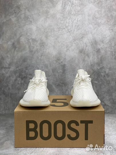 Adidas Yeezy Boost 350