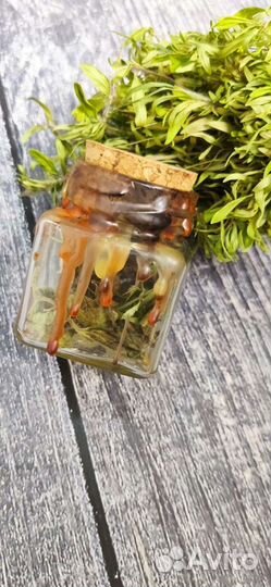 Ведьмина бутылка маленькая