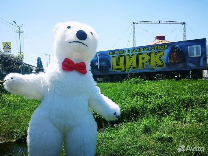 Мишка Пломбир