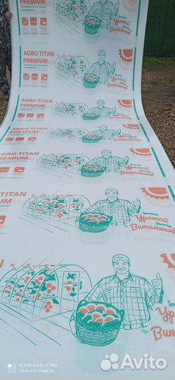 Парники теплицы бу