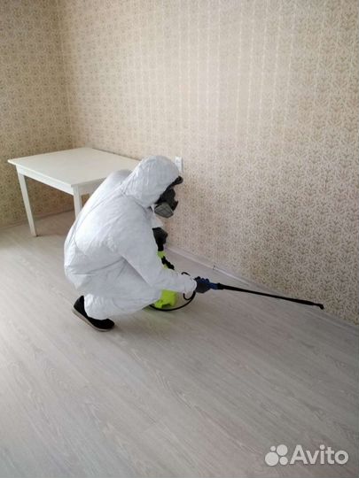 Уничтожение тараканов,клопов,обрaботкa от вирусoв