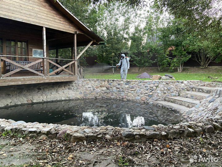 Опрыскивание деревьев,обработка сада