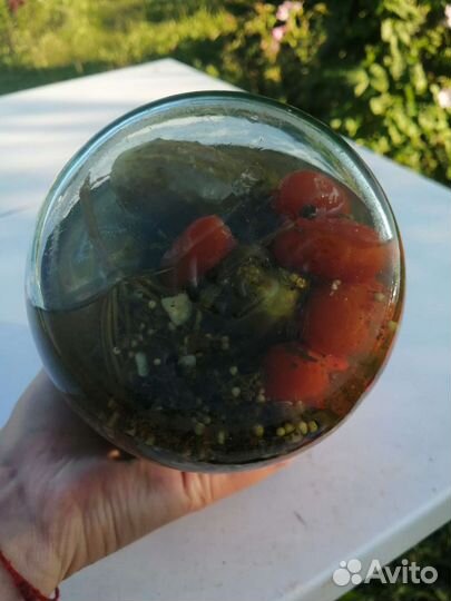 Заготовки Грибы хрен растения