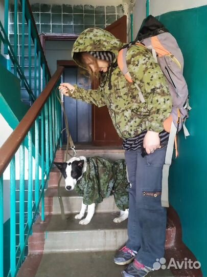 Комбинезон, теплый, для большой собачки