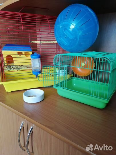 Клетка и принадлежность для хомяков