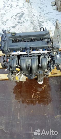 Двигатель Ford focus