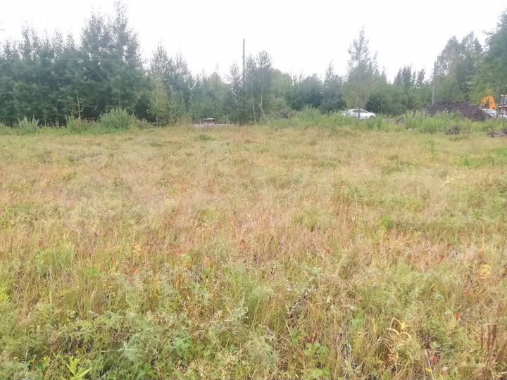 Участок 12,9 сот. (СНТ, ДНП)