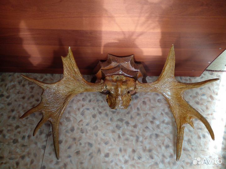 Лосиные рога